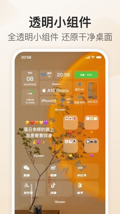 我的桌面iScreen免费的界面截图（2）