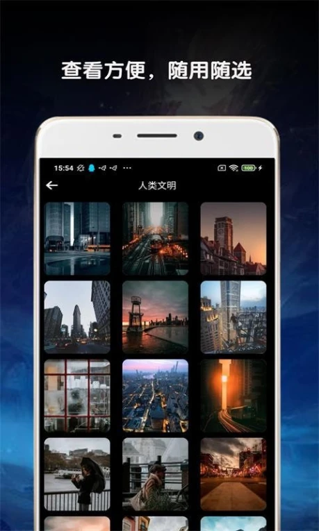 金胜主题壁纸大全的界面截图（4）