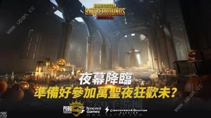 PUBG MOBILE LITE亚服官方中文最新版安装包下载图片2