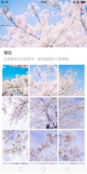 大脚壁纸的界面截图（3）