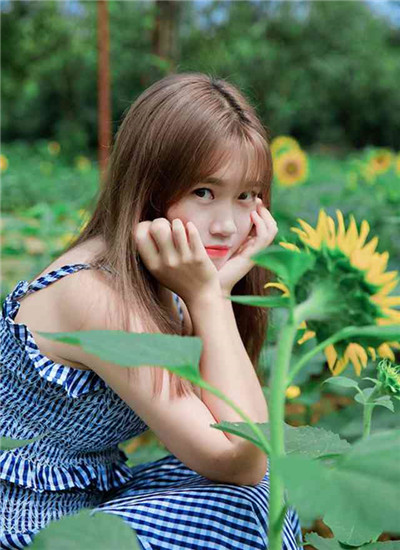 丝瓜草莓秋葵下载旧版免费下载手机版的界面截图（1）